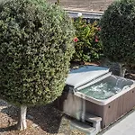 Oasis 普拉亚布兰卡